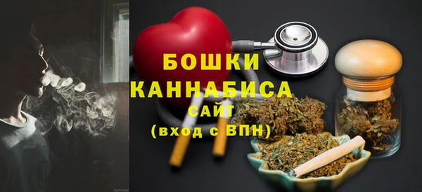 амф Ельня
