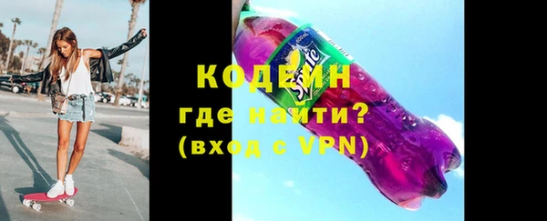 амф Ельня