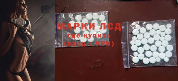 амф Ельня