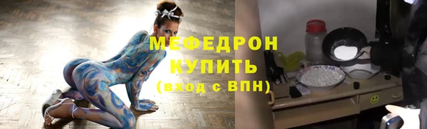 амф Ельня