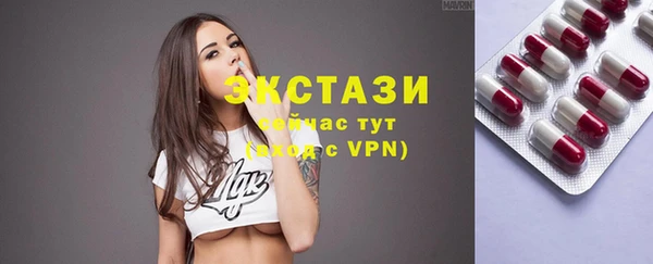 амф Ельня