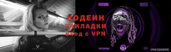 мет Елабуга
