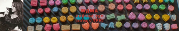 амф Ельня