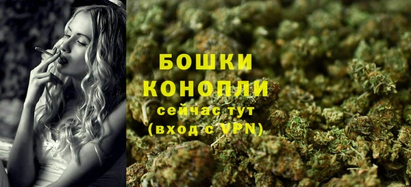 амф Ельня