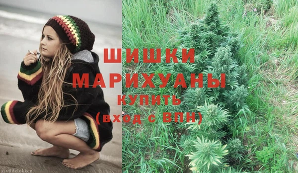 мет Елабуга