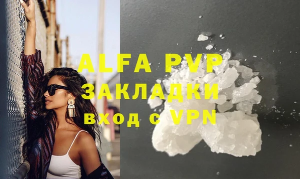 амф Ельня