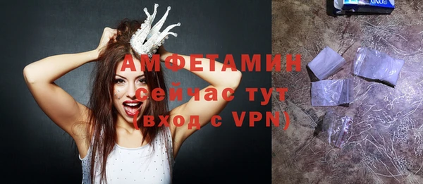 амф Ельня