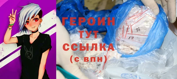 амф Ельня