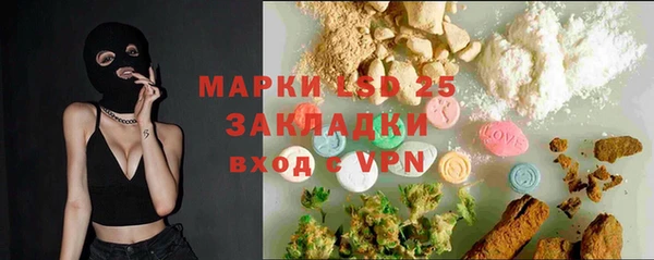 мет Елабуга